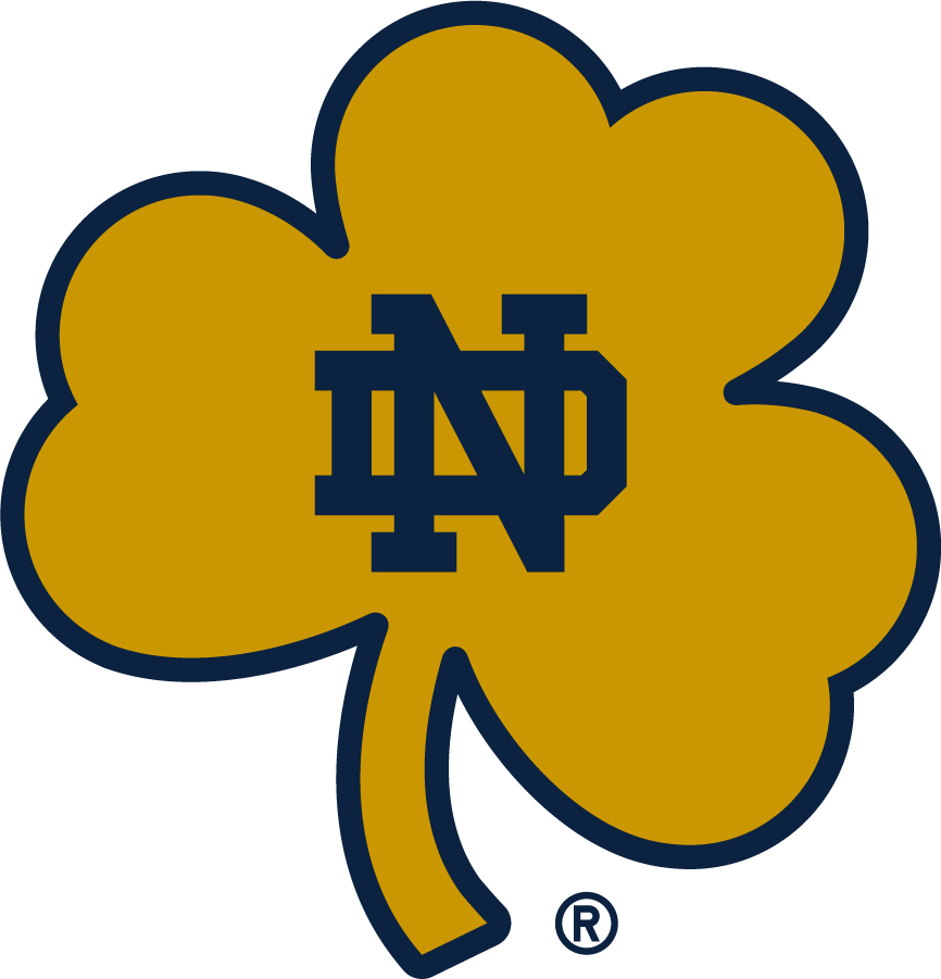 Notre Dame Fighting Irish 2015-Pres Secondary Logo v2 iron on transfers for clothing